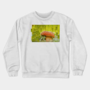 Mushroom Focus Crewneck Sweatshirt